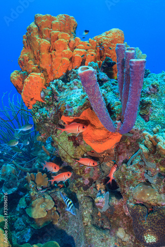 This underwater photograph captures the beauty and serenity of the marine world in the Caribbean. At the center of the image, a vibrant red sponge stands out against the deep blue of the ocean.