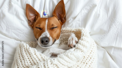 Cute dog enjoying a blissful sleep on a white bed with a cozy blanket perfect for copy space