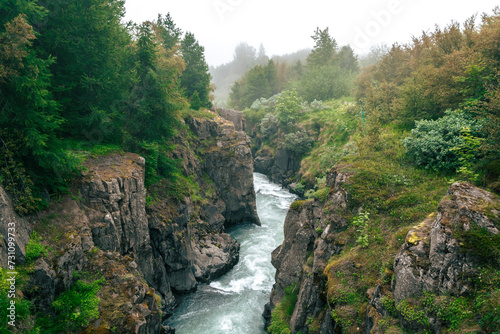 Mountain river in a foggy morning. Beautiful nature landscape.