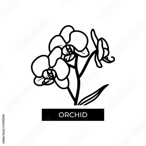 orchid flower illustration and icon - flat design