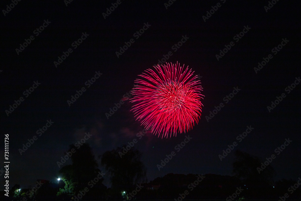 東海市の夏の風景