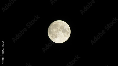 full moon in the night