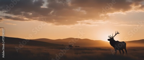 Silhouette of a large bull Elk stag walking on the prairie against the sky at sunrise Rocky Mountain © Adi