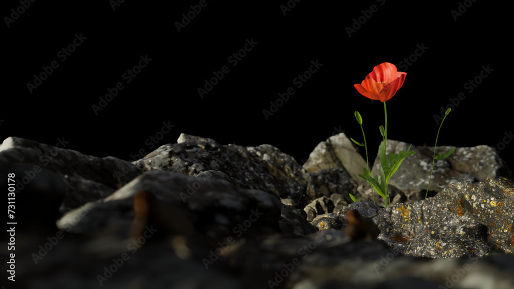 3D tulip on the rock in the morning. background
