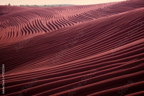 burgundy wavy lines field landscape