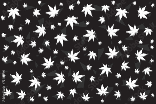 Illustration  pattern of the white maple leaves on black background.