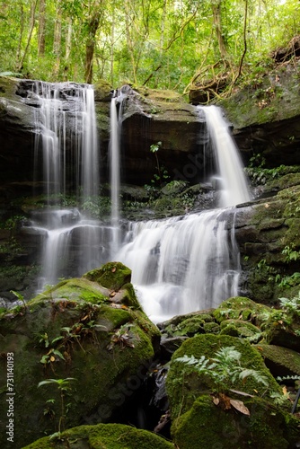 Waterfall cascading through a lush forest  surrounded by rocks and greenery  embodying the essence of nature s beauty