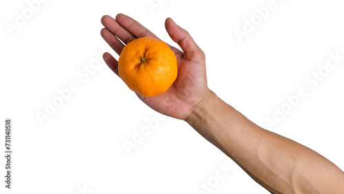 Hand-holding orange isolated on a transparent background