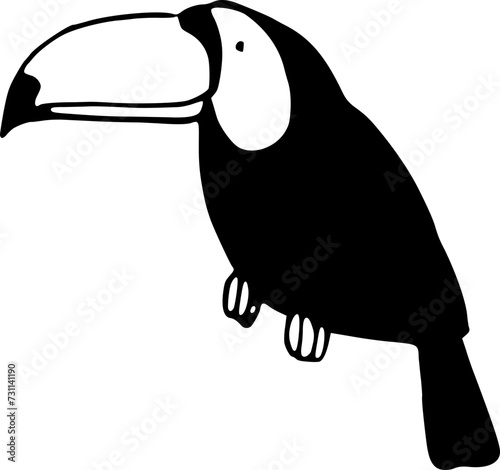 Hand drawn toucan bird on background. Black white icon. Vector doodle illustration. Exotic animal, tropical jungle or travel clipart for cards, web.