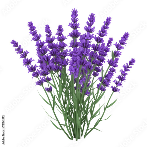 3d cartoon Lavender flowers bunch isolated on transparent background