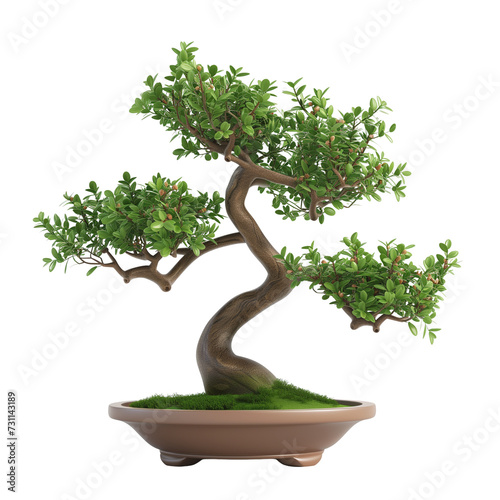 3D carton bonsai tree isolated on transparent background