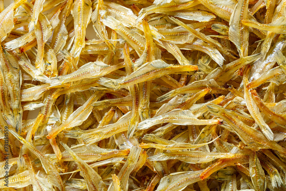 Close-up of dry fish surface,Dried salted fish surface Close-up of dry fish surface,Dried salted fish surface