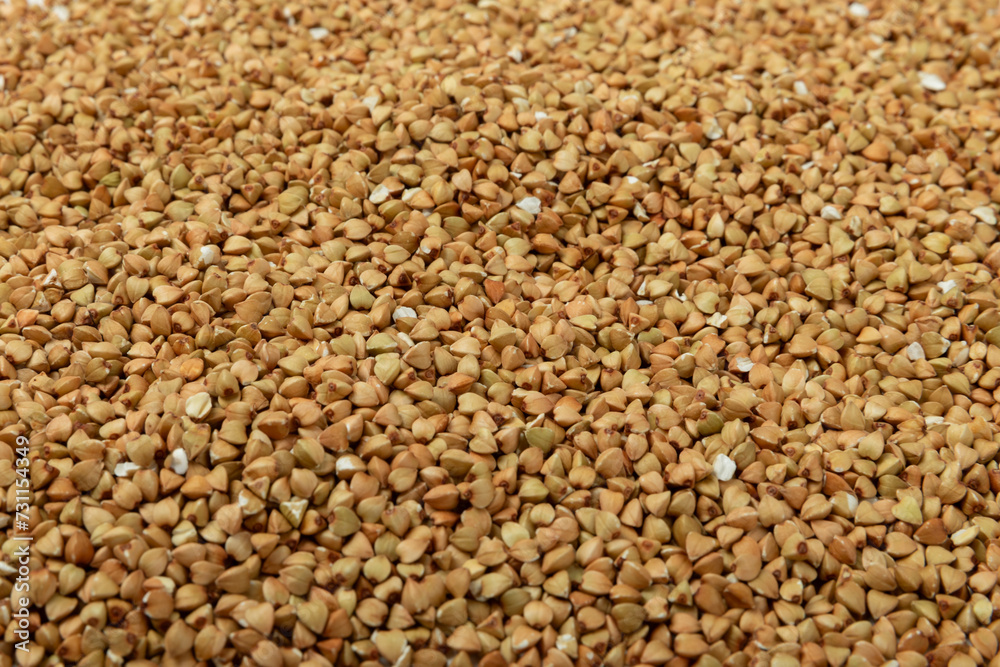 Green buckwheat background isolated on a white background. Superfood. Raw buckwheat porridge. Healthy vegan food, eco products, diet, organic. Green buckwheat background isolated on a white background. Superfood. Raw buckwheat porridge. Healthy vegan food, eco products, diet, organic.
