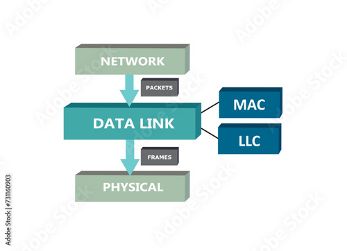 Data link sub layers, OSI model, vector