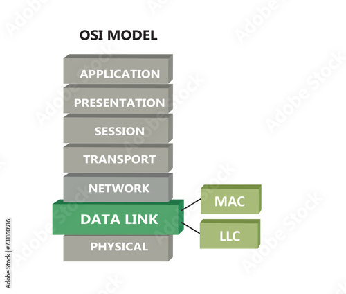OSI network model with data link sub layers, vector