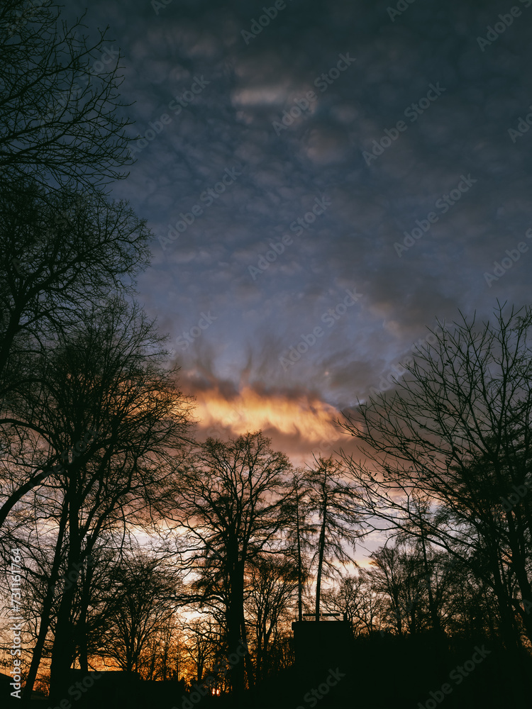 Fototapeta premium Hoch oben in Marburg auf dem Berg drohnt das Schloß, Abendsonne über der Stadt