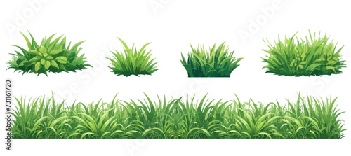 set of green grass photo