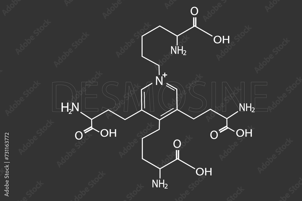 Desmosine molecular skeletal chemical formula. Desmosine molecular skeletal chemical formula.