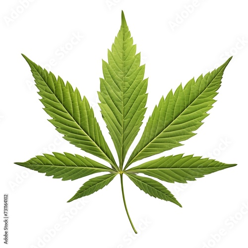 Cannabis leaf isolated on white. Created with Generative AI technology