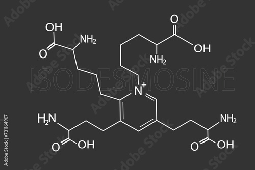 Isodesmosine molecular skeletal chemical formula.