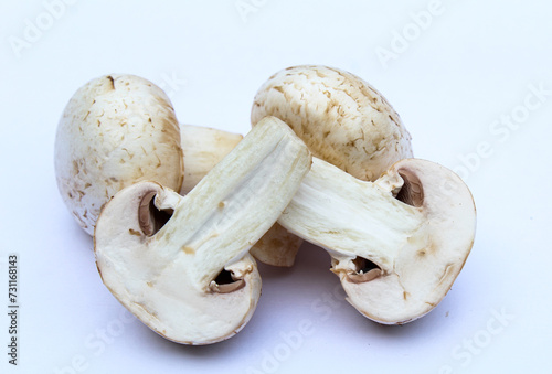 Fresh white mushrooms on white background 