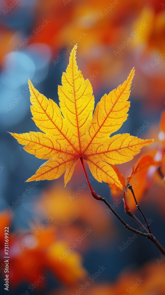 The Autumn Maple Leaf, Shades of Yellow and Light Yellow, Symbolizing Fall Foliage