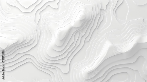 Flat Two-Color Website Background, White with Light Grey Topographic Map Style Lines photo