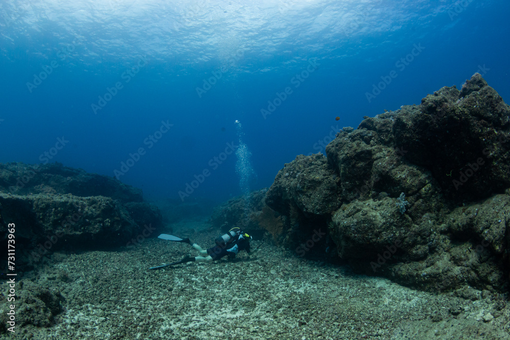 Female diver over rocky reef against blue background in Mauritius Female diver over rocky reef against blue background in Mauritius