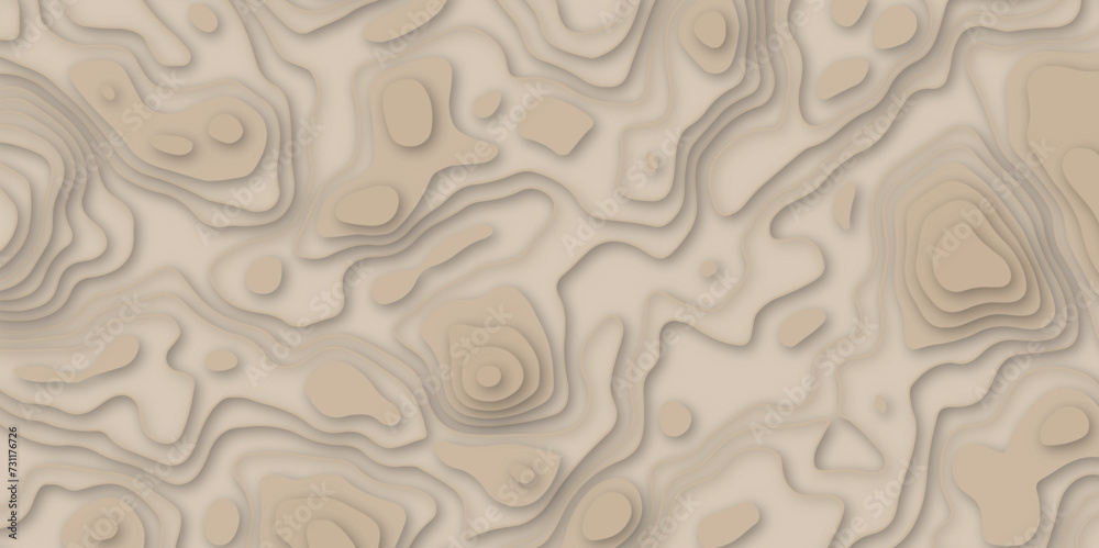 Abstract paper carve template. abstract brown 3d papercut topography relief vector background illustration. topographic canyon geometric map relief texture with curved layers and shadow.