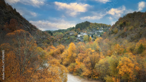 autumn in the forest