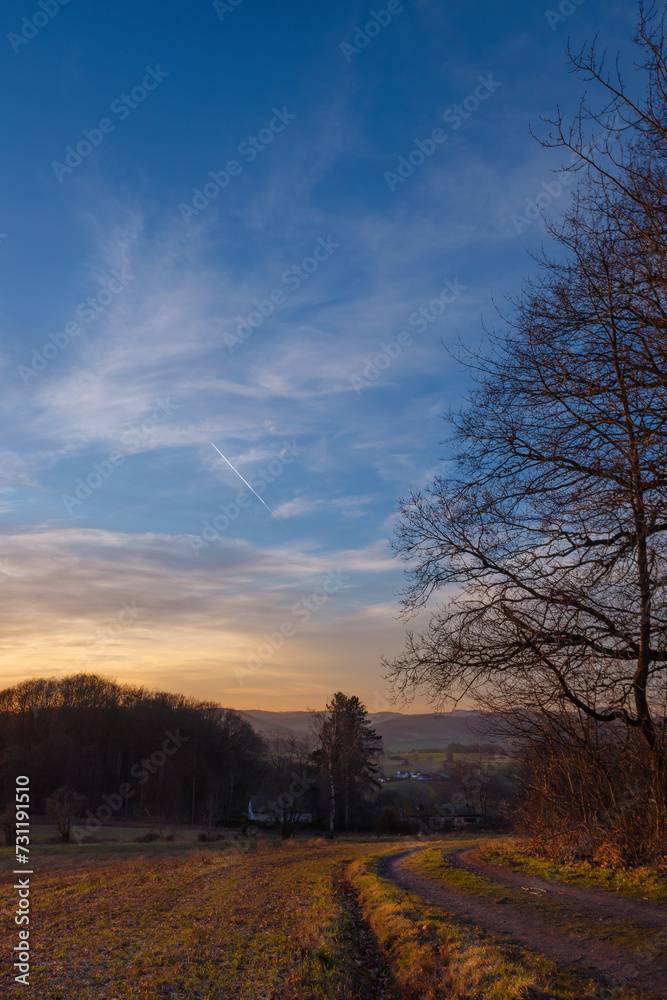 Obraz premium Natur in Marburg, Abendsonne am Feldrand