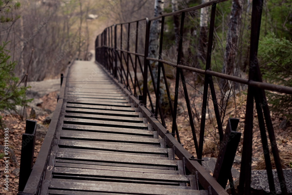 Scenic wooden bridge with metal railing, surrounded by lush greenery, in a serene forest setting