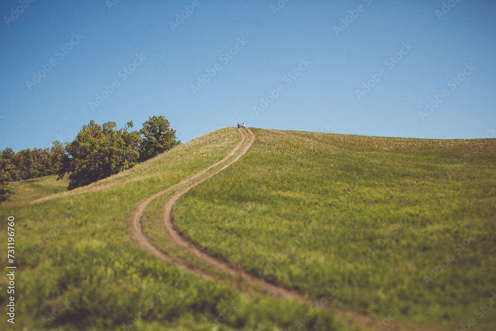 Obraz premium Green grassy hill with a dirt road going up. There are some trees at the top of the hill.
