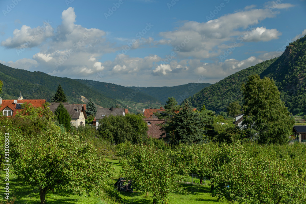 Green summer valley of river Donau in Austria hot sunny day