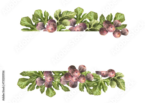 Branch of juicy, ripe purple figs with leaves and whole fruit frame, banner Food, plant, botanical template for card, jam label, price tag. Hand drawn watercolor illustration Isolated white background