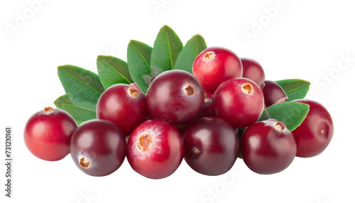 Pile of fresh cranberry fruits
