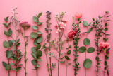 pink flowers leaves and eucalyptus on pink background