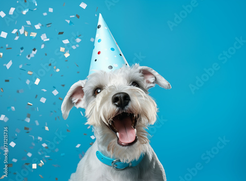 Dog with birthday party hat banner with copy space