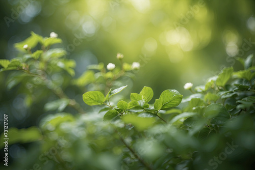Beautiful natural spring green blurred background with green leaves. Background natural green landscape of plants.