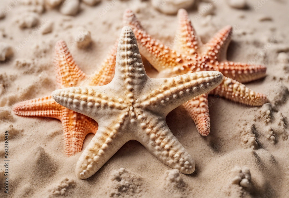 Plastic starfish in sand pile isolated on white top view Plastic starfish in sand pile isolated on white top view