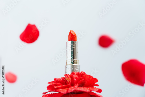 Red lipstick with water drops stands on camellia rose flower as on podium presenting demonstration product with falling petals on white background. Moisturizing and natural components cosmetic