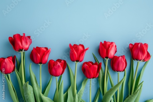 Vibrant Red Tulips Contrast Against Serene Blue Backdrop  Perfect For Advertisements