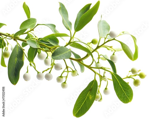 Mistletoe and Berries: Festive Isolated Closeup on White Background © AIGen