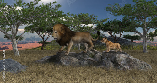 male and female lion