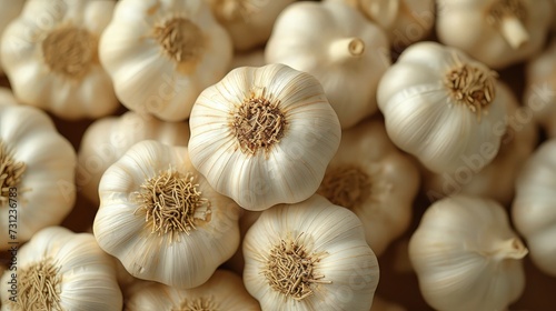 Overhead View of Abundant Garlic Bulbs.