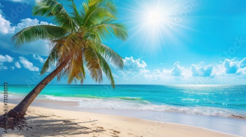 Beautiful beach with palm tree against the backdrop of the azure blue ocean on a bright sunny day, vacation and travel concept