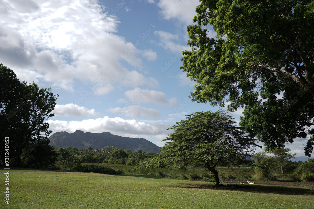landscape with trees, a nice sky and mountains. landscape with trees, a nice sky and mountains.