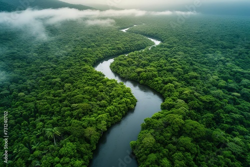 Aerial view of a river winding through a lush rainforest Captured by a drone Showcasing the breathtaking beauty of untouched natural landscapes