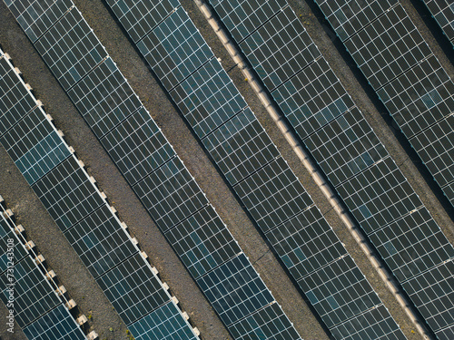 solar farm producing electricity, alternative sustainable energy source