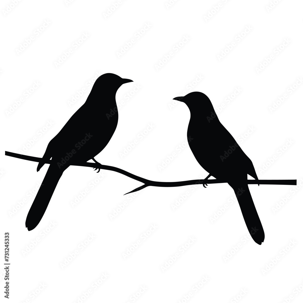 Obraz premium Bird silhouettes set silhouette of birds collection vector illustration